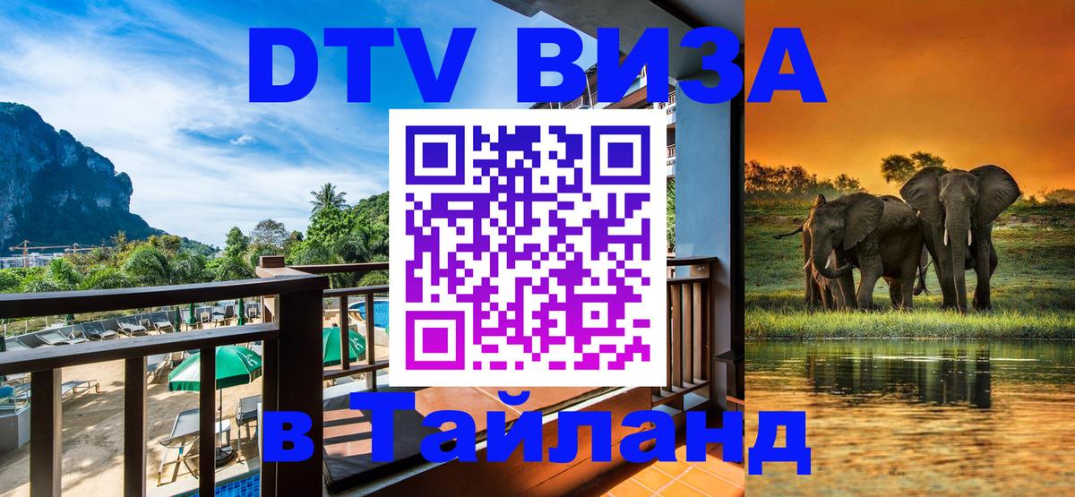 Оформление DTV визы под ключ: стоимость и тарифы, только загранпаспорт - Тирана  03.10.2025 